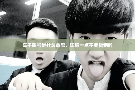 车子限号是什么意思，详细一点不要复制的