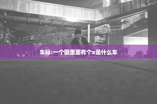 车标:一个圆里面有个x是什么车