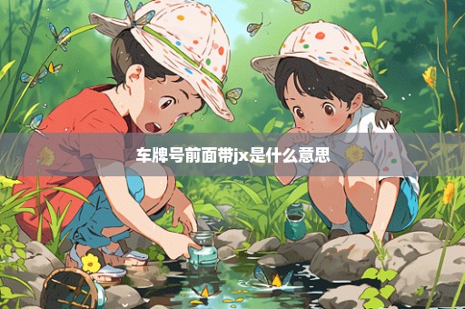 车牌号前面带jx是什么意思