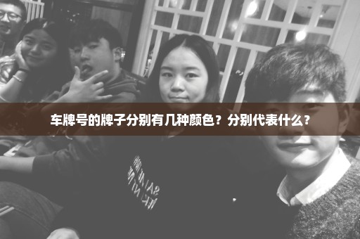车牌号的牌子分别有几种颜色？分别代表什么？