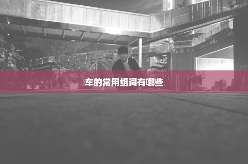 车的常用组词有哪些