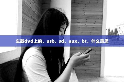 车载dvd上的，usb，sd，aux，bt，什么意思