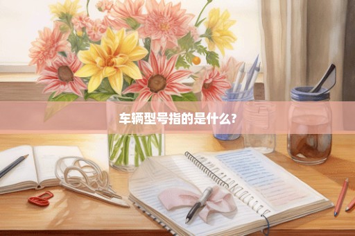 车辆型号指的是什么?