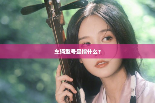 车辆型号是指什么？