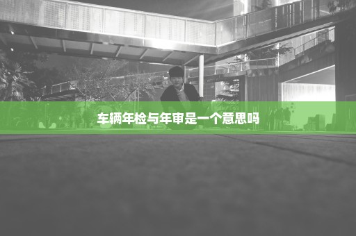 车辆年检与年审是一个意思吗