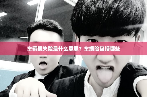 车辆损失险是什么意思？车损险包括哪些