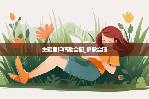 车辆质押借款合同_借款合同