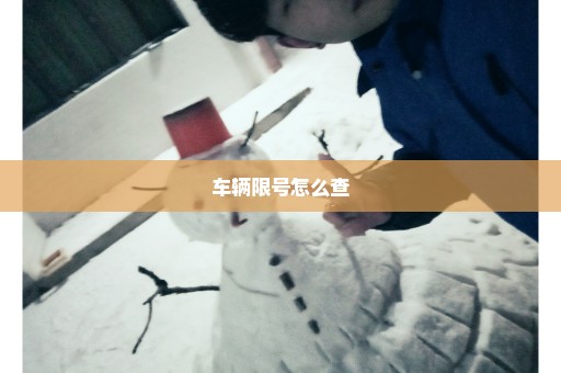 车辆限号怎么查