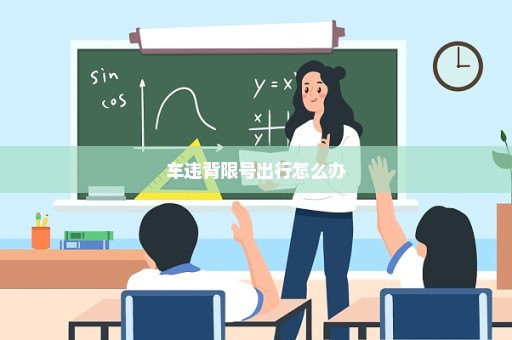 车违背限号出行怎么办