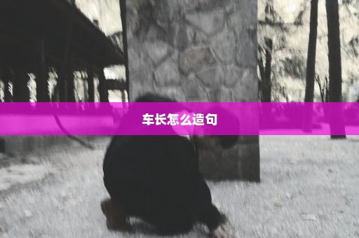 车长怎么造句