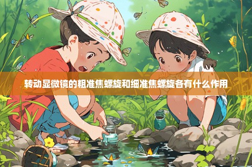 转动显微镜的粗准焦螺旋和细准焦螺旋各有什么作用