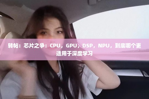 转帖：芯片之争：CPU，GPU，DSP，NPU，到底哪个更适用于深度学习