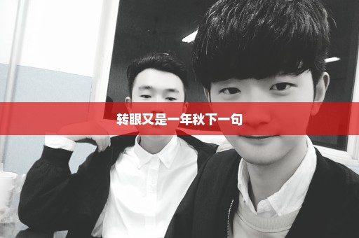 转眼又是一年秋下一句