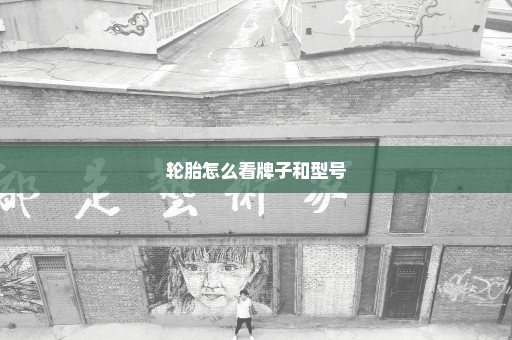 轮胎怎么看牌子和型号