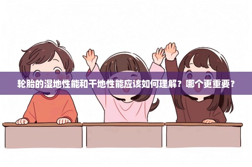 轮胎的湿地性能和干地性能应该如何理解？哪个更重要？