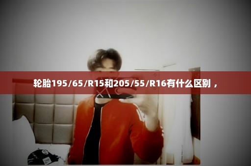 轮胎195/65/R15和205/55/R16有什么区别 ，