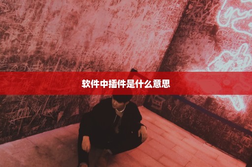 软件中插件是什么意思