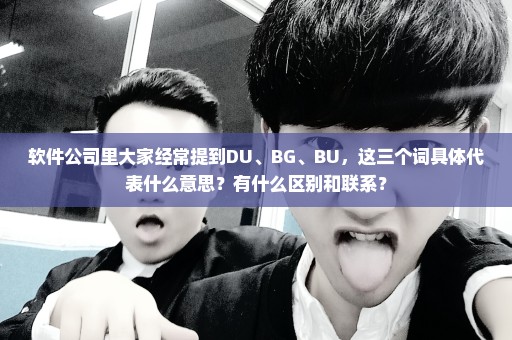 软件公司里大家经常提到DU、BG、BU，这三个词具体代表什么意思？有什么区别和联系？