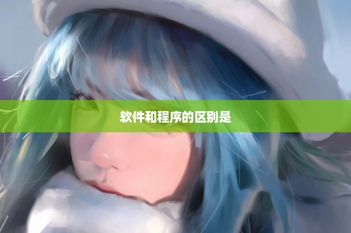 软件和程序的区别是