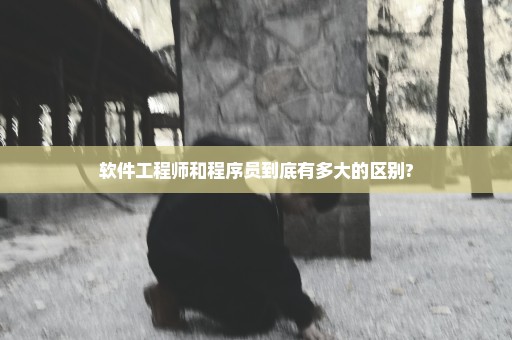 软件工程师和程序员到底有多大的区别?