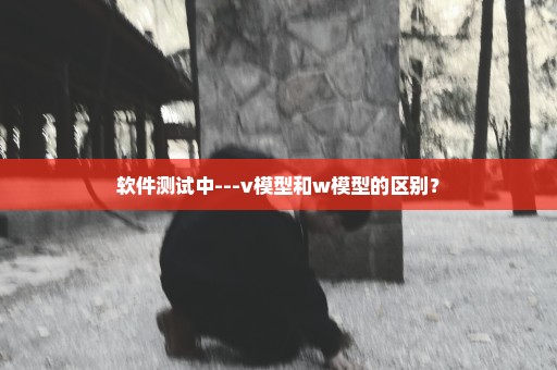 软件测试中---v模型和w模型的区别？
