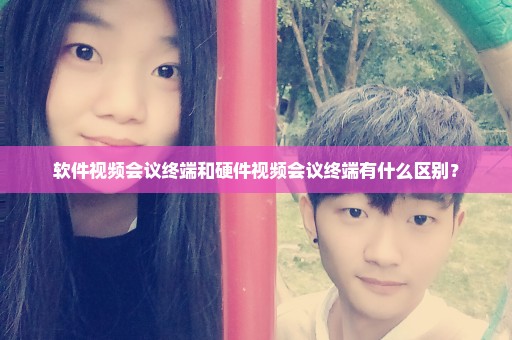 软件视频会议终端和硬件视频会议终端有什么区别？
