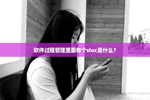 软件过程管理里面有个sloc是什么？