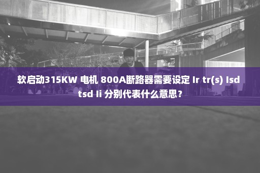 软启动315KW 电机 800A断路器需要设定 Ir tr(s) Isd tsd Ii 分别代表什么意思？