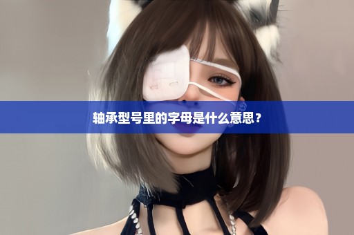 轴承型号里的字母是什么意思？