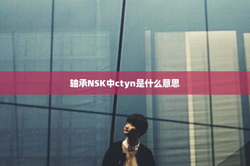 轴承NSK中ctyn是什么意思