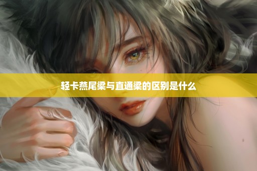 轻卡燕尾梁与直通梁的区别是什么