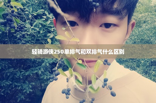 轻骑游侠250单排气和双排气什么区别