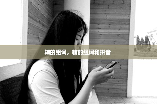 辅的组词，辅的组词和拼音 