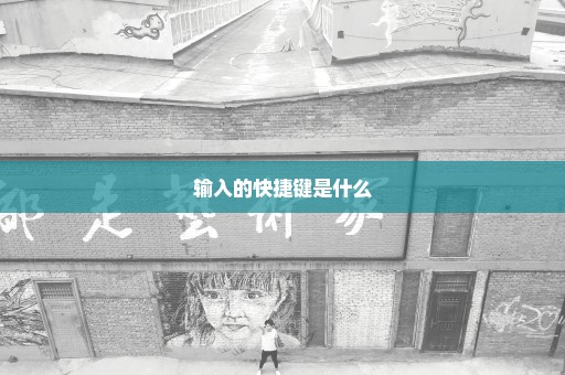 输入的快捷键是什么
