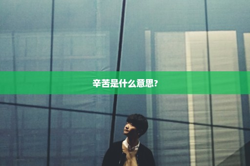 辛苦是什么意思?