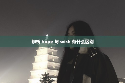 辨析 hope 与 wish 有什么区别