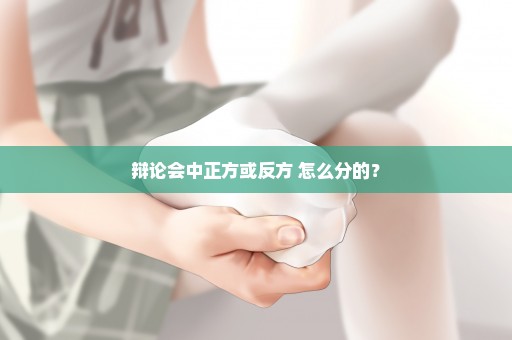 辩论会中正方或反方 怎么分的？