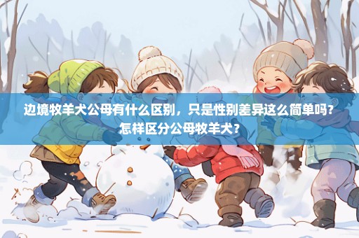 边境牧羊犬公母有什么区别，只是性别差异这么简单吗？怎样区分公母牧羊犬？