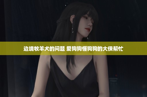 边境牧羊犬的问题 爱狗狗懂狗狗的大侠帮忙