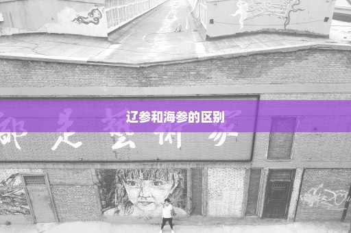辽参和海参的区别