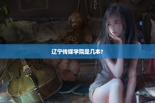 辽宁传媒学院是几本?