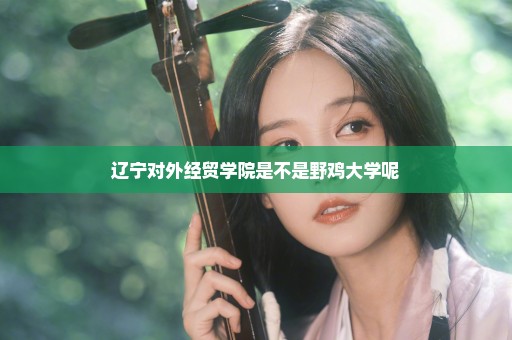 辽宁对外经贸学院是不是野鸡大学呢
