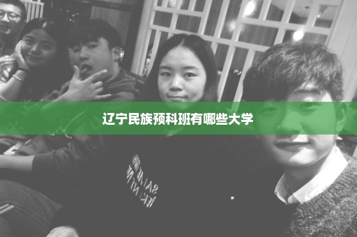 辽宁民族预科班有哪些大学