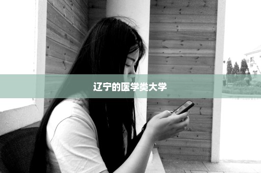 辽宁的医学类大学