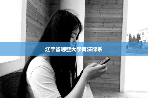 辽宁省哪些大学有法律系