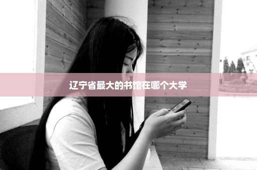 辽宁省最大的书馆在哪个大学