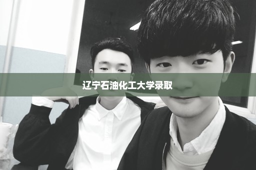辽宁石油化工大学录取
