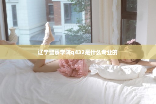 辽宁警察学院q432是什么专业的