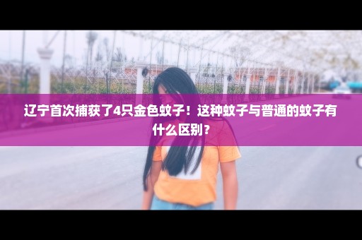 辽宁首次捕获了4只金色蚊子！这种蚊子与普通的蚊子有什么区别？