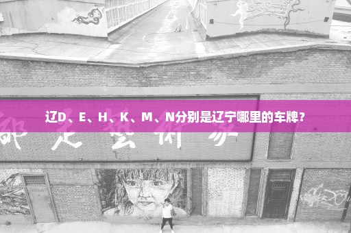 辽D、E、H、K、M、N分别是辽宁哪里的车牌？